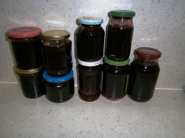 Ríbezľový rôsol (fotorecept) - obrázok 12