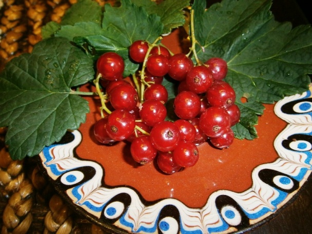 Ríbezľový rôsol (fotorecept) - obrázok 14