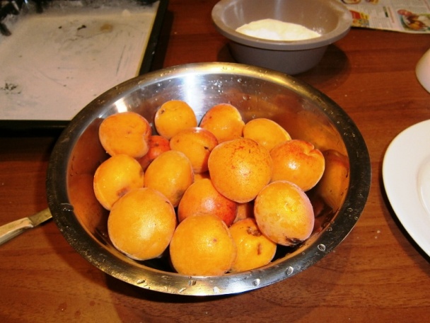 Zasnežený koláč s marhuľami (fotorecept) - obrázok 2