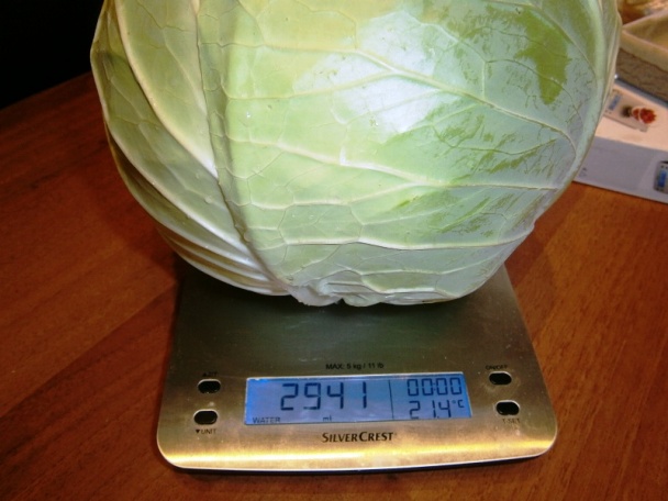 Letná čalamáda na rýchly konzum (fotorecept) - obrázok 2