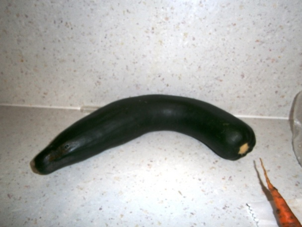 Letná čalamáda na rýchly konzum (fotorecept) - obrázok 5