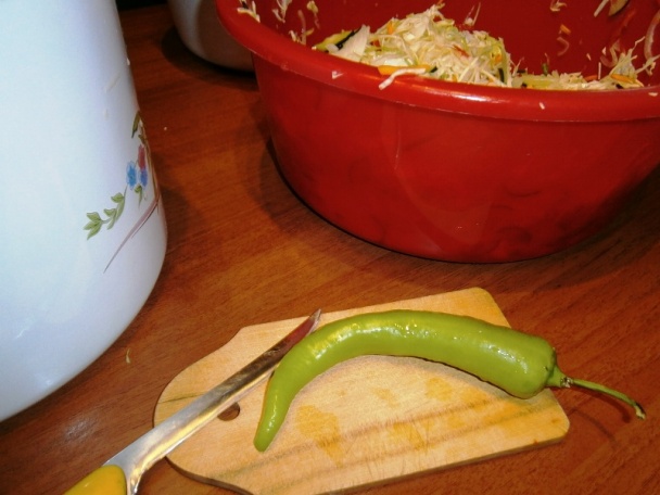 Letná čalamáda na rýchly konzum (fotorecept) - obrázok 6