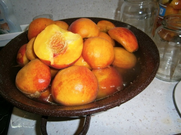 Pudingáč s broskyňami (fotorecept) - obrázok 14
