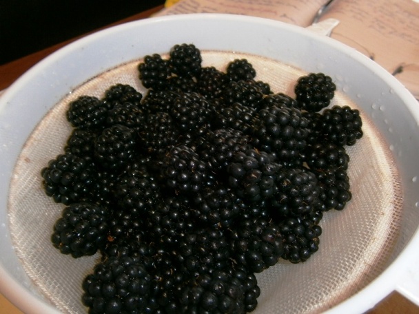 Černicový koláč s mrveničkou (fotorecept) - obrázok 4