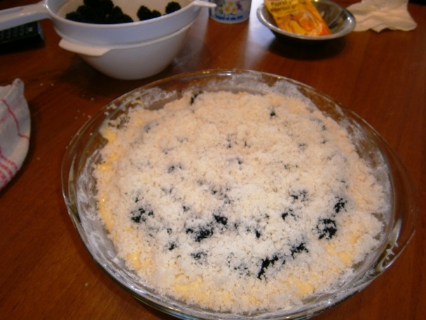 Černicový koláč s mrveničkou (fotorecept) - obrázok 9