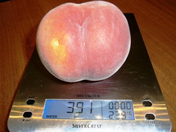 Broskyňová dreň v nanukových formičkách (fotorecept) - obrázok 2