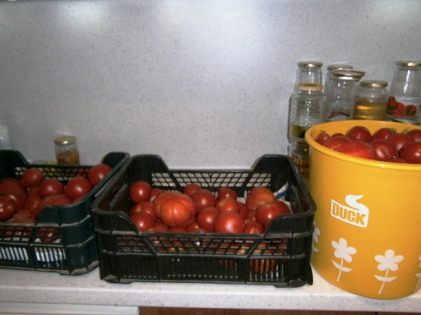 Paradajkový pretlak (fotorecept) - obrázok 1