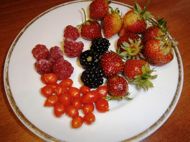 Malé tortičky plnené šľahačkou a ovocím (fotorecept) - obrázok 7