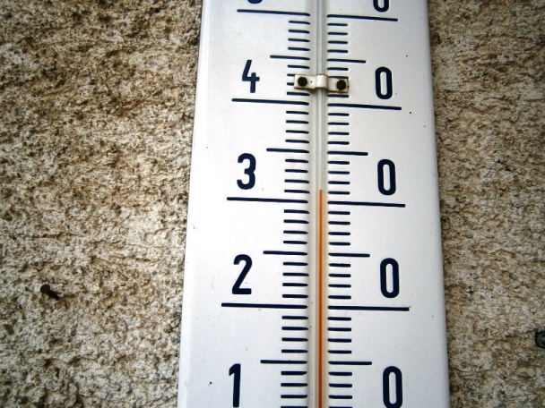 Slivkový lekvár (fotorecept) - obrázok 3