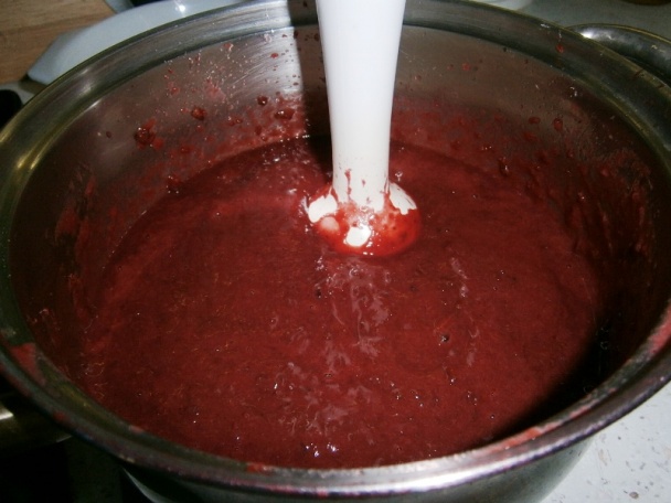 Slivkový lekvár (fotorecept) - obrázok 8