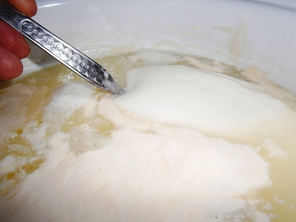 Domáci tvaroh (fotorecept) - obrázok 3