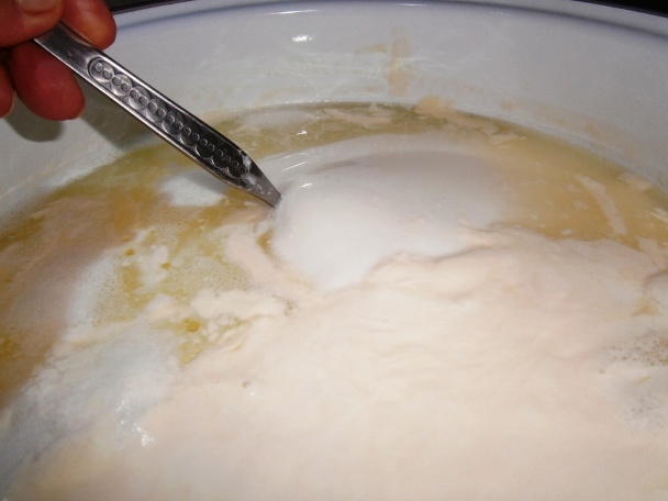 Domáci tvaroh (fotorecept) - obrázok 4