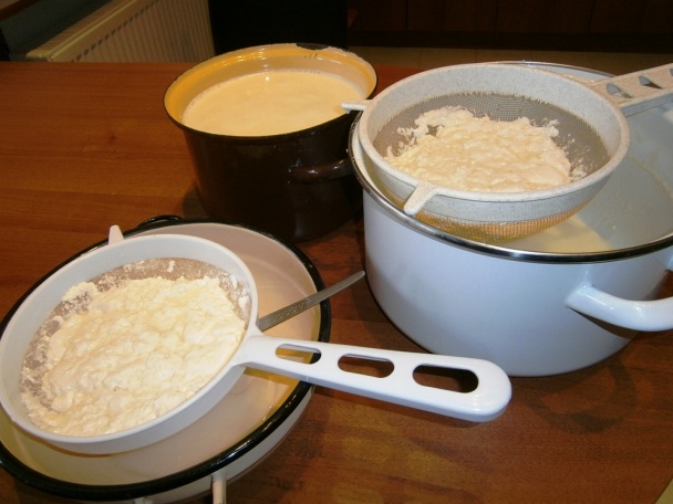 Domáci tvaroh (fotorecept) - obrázok 6