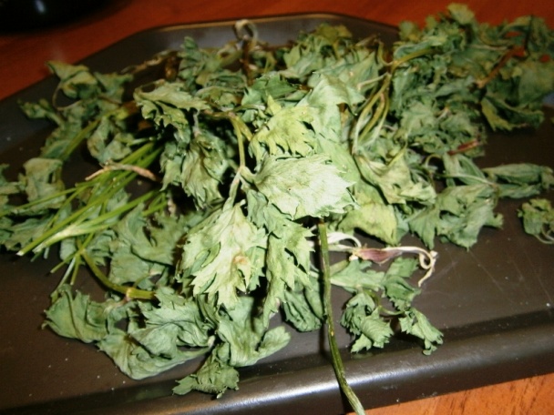 Sušená petržlenová a zelerová vňať na zimu (fotorecept) - obrázok 3