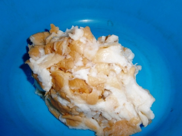 Rýchla večera zo syra (fotorecept) - obrázok 3