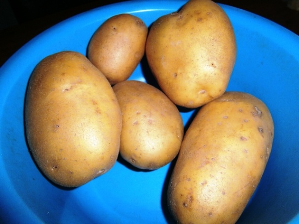 Rýchla večera zo syra (fotorecept) - obrázok 4