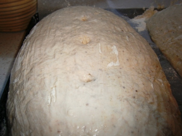 Nemecký chlieb Landbrot (fotorecept) - obrázok 10