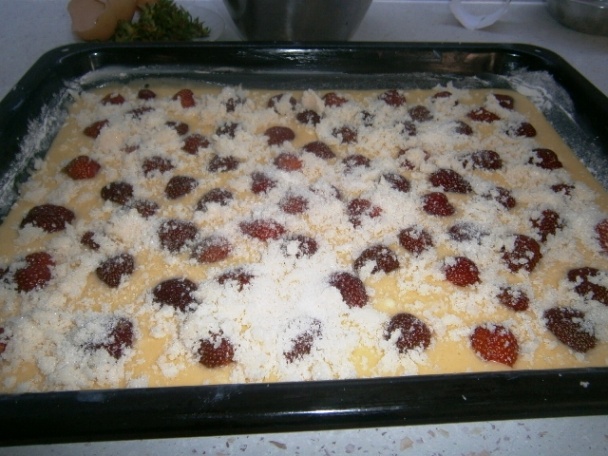 Jahodový koláč z prvých domácich jahôd (fotorecep)t - obrázok 2