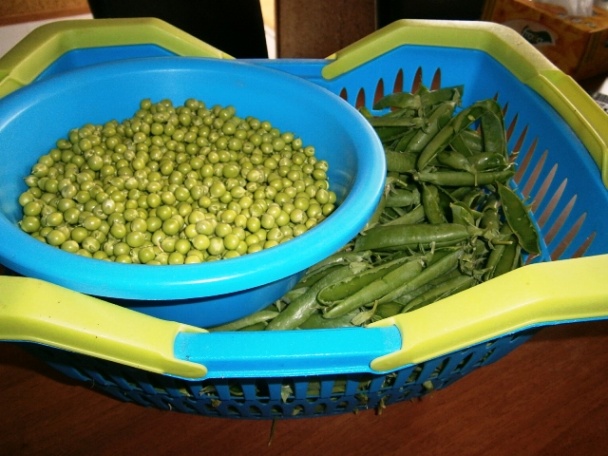 Hráškový paprikáš (fotorecept) - obrázok 1