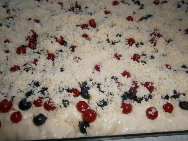 Nafúkanci (fotorecept) - obrázok 10