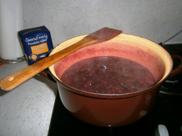 Džem z čiernych a červených ríbezlí (fotorecept) - obrázok 2