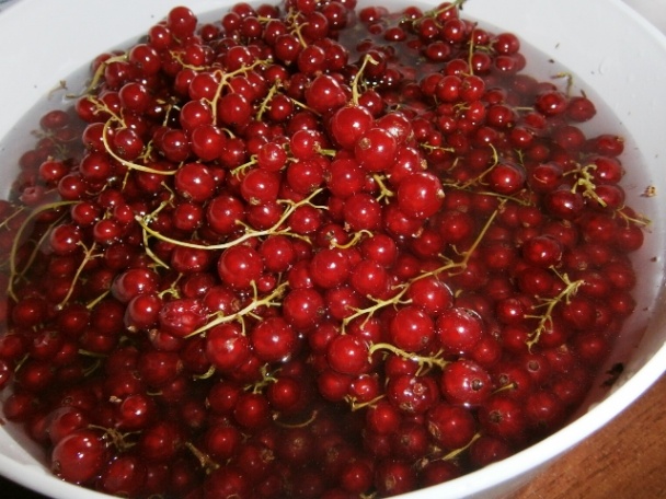 Džem z čiernych a červených ríbezlí (fotorecept) - obrázok 7