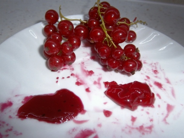 Džem z čiernych a červených ríbezlí (fotorecept) - obrázok 9