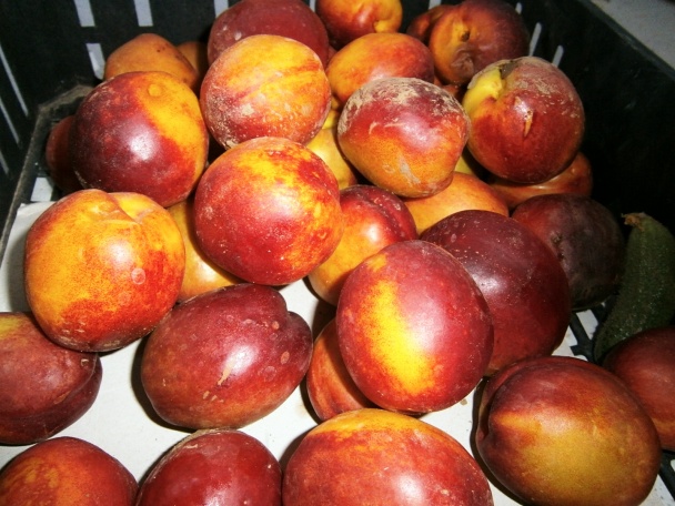 Nektarinkovo-marhuľový džem (fotorecept) - obrázok 1