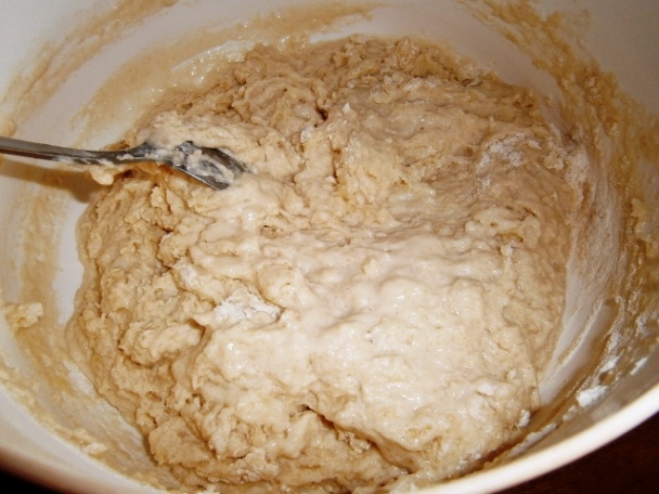 Slivkový osúch a makom (fotorecept) - obrázok 2