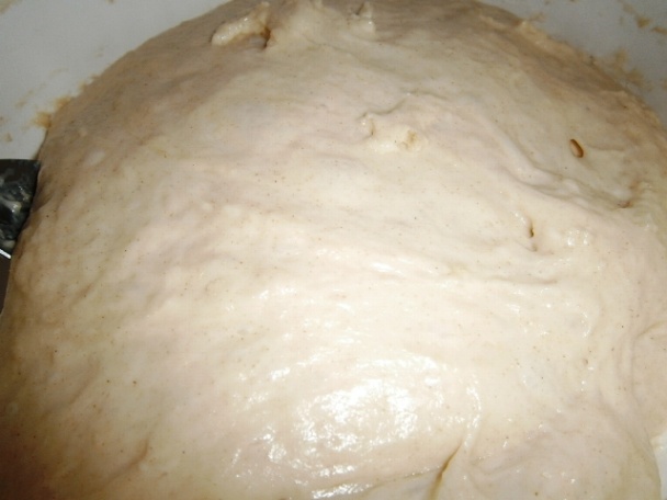 Slivkový osúch a makom (fotorecept) - obrázok 8