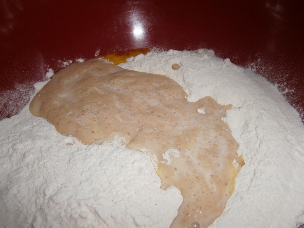 Koláč z kysnutého cesta plnený čokoládovým pudingom a marhuľami (fotorecept) - obrázok 1