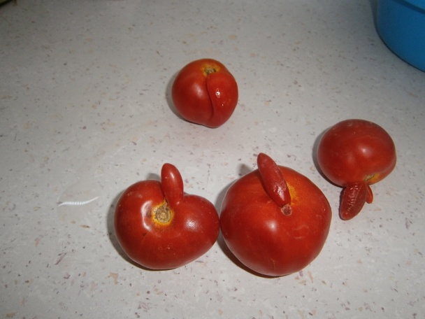 Pizza podľa Terezky (fotorecept) - obrázok 12