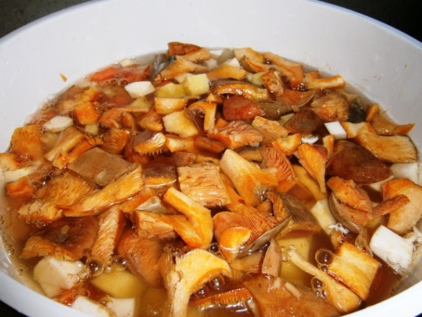 Polievka z rýdzikov (fotorecept) - obrázok 2