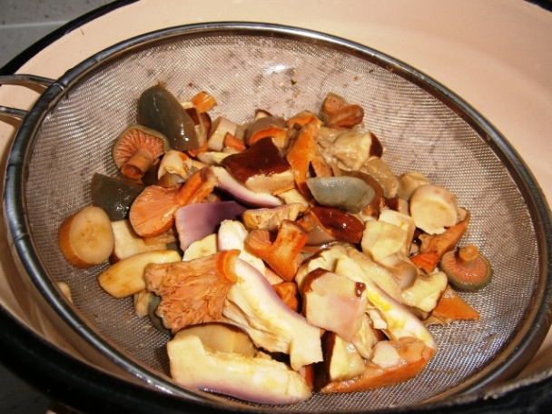 Vysmážaný dubák (fotorecept) - obrázok 5