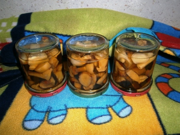 Vysmážaný dubák (fotorecept) - obrázok 6