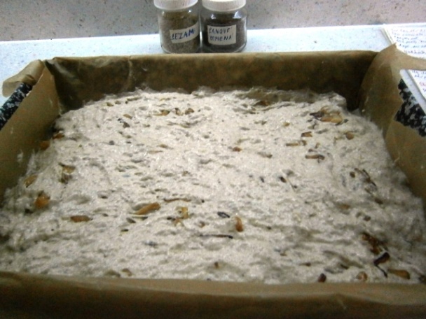 Cibuľový chlebový posúch (fotorecept) - obrázok 9