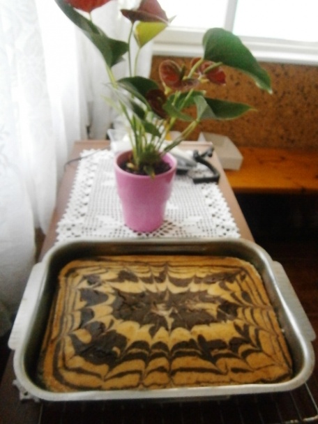 Zebra koláč s kefírom a detskou krupicou (fotorecept) - obrázok 9