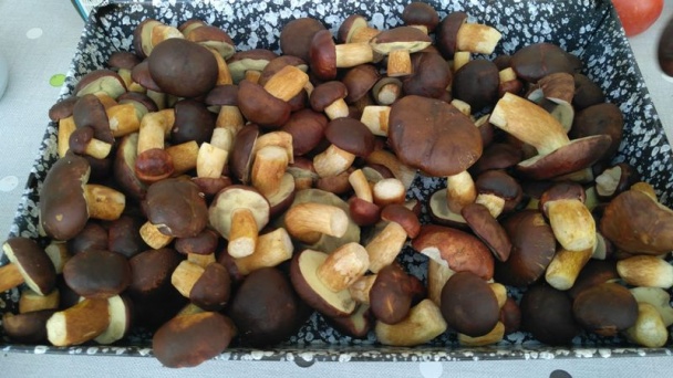 Bedle plnené syrom (fotorecept) - obrázok 7