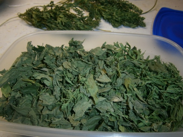 Domáca bylinková vegeta (fotorecept) - obrázok 2