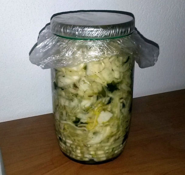 Medvedí cesnak s čerstvo kvasenou kapustou - obrázok 3