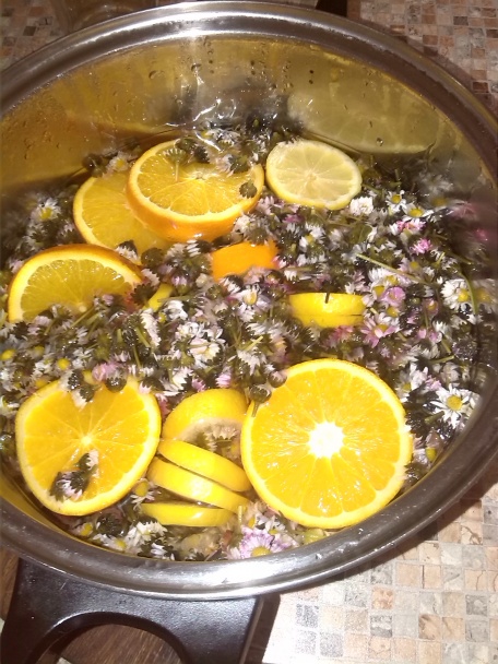 Sedmokráskový med - obrázok 1