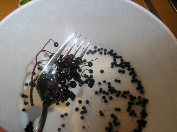 Jablkovo - bazový džem (fotorecept) - obrázok 3