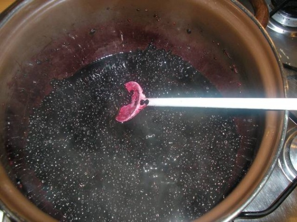 Jablkovo - bazový džem (fotorecept) - obrázok 4