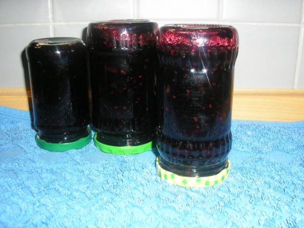 Jablkovo - bazový džem (fotorecept) - obrázok 10