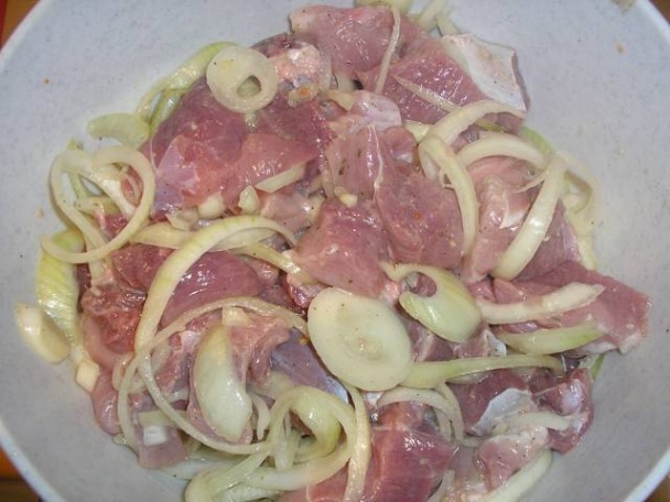 Šašlík - mäso na cibuli (fotorecept) - obrázok 4