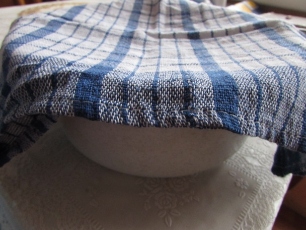 Kysnuté tvarohové buchty (fotorecept) - obrázok 2