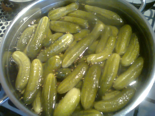Zavárané uhorky - obváraním (fotorecept) - obrázok 2