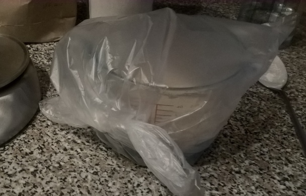 Kváskový knäckebrot (fotorecept) - obrázok 2