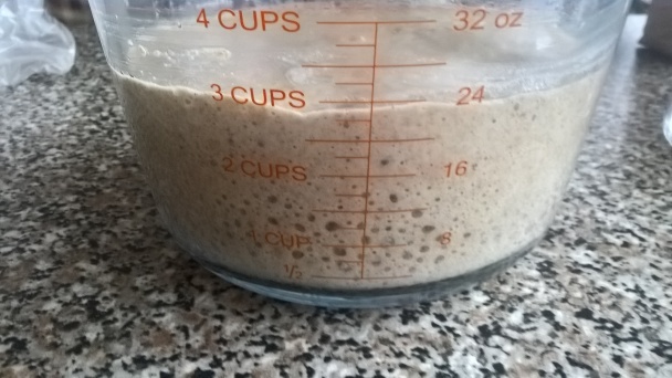 Kváskový knäckebrot (fotorecept) - obrázok 3