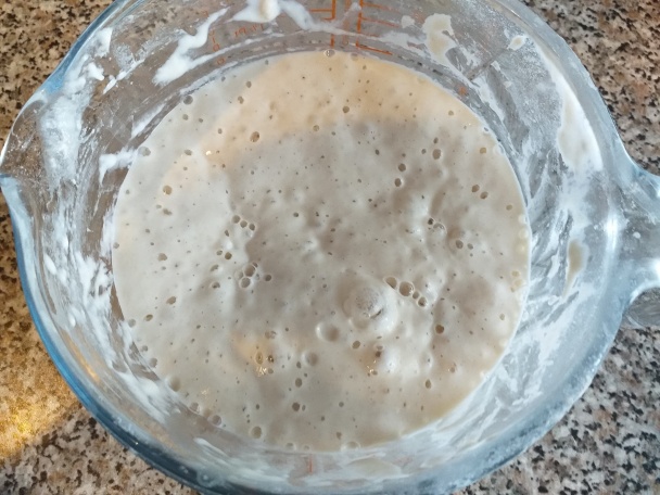 Kváskové moravské koláče (fotorecept) - obrázok 5